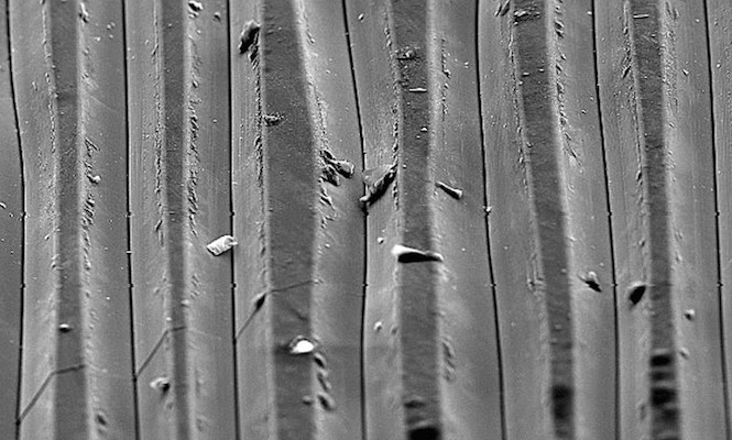 ElectronMicroscopeImageOfDirtyVinylRecor
