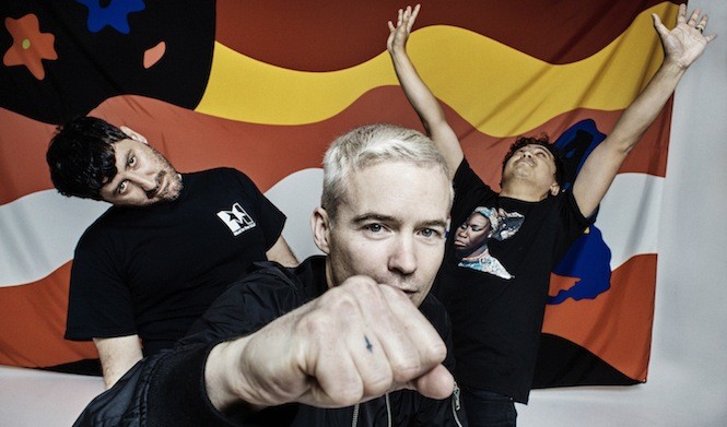 the-avalanches-new-album-wildflower-vinyl
